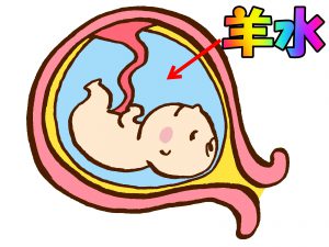 人体の不思議 赤ちゃんはおなかの中でどうしているの 明日へブログ