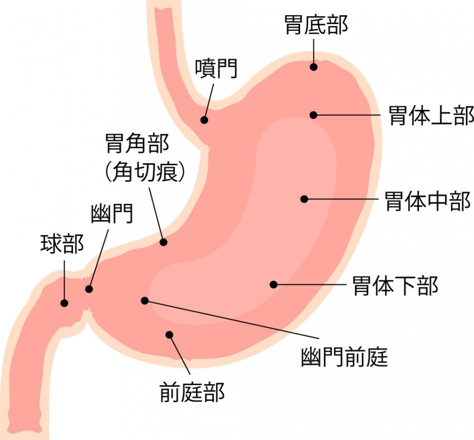 第55回(R2) 理学療法士国家試験 解説【午後問題56~60】 - 通所型基準緩和サービス施設 明日へ ブログ