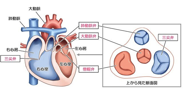 第45回 H22 理学療法士 作業療法士 共通問題解説 午後問題51 55 明日へブログ